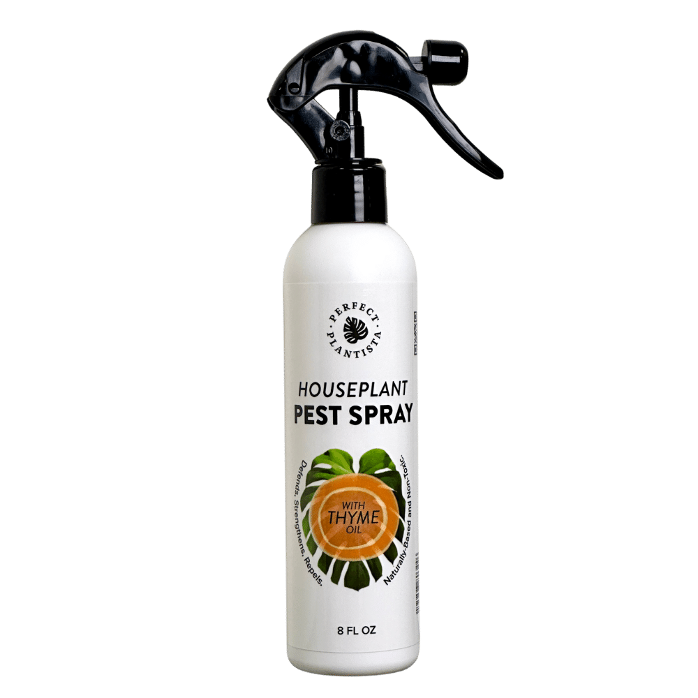 Natural & Non-Toxic Houseplant Pest Spray