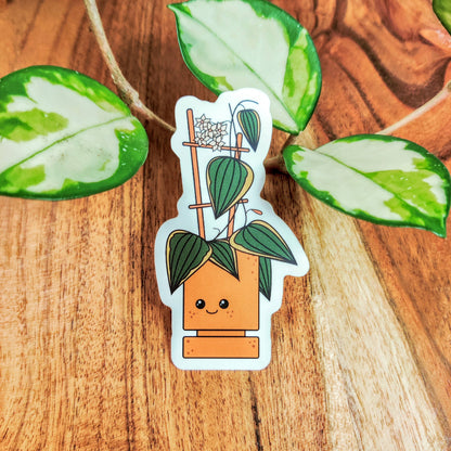 Hoya Macrophylla Vinyl Sticker
