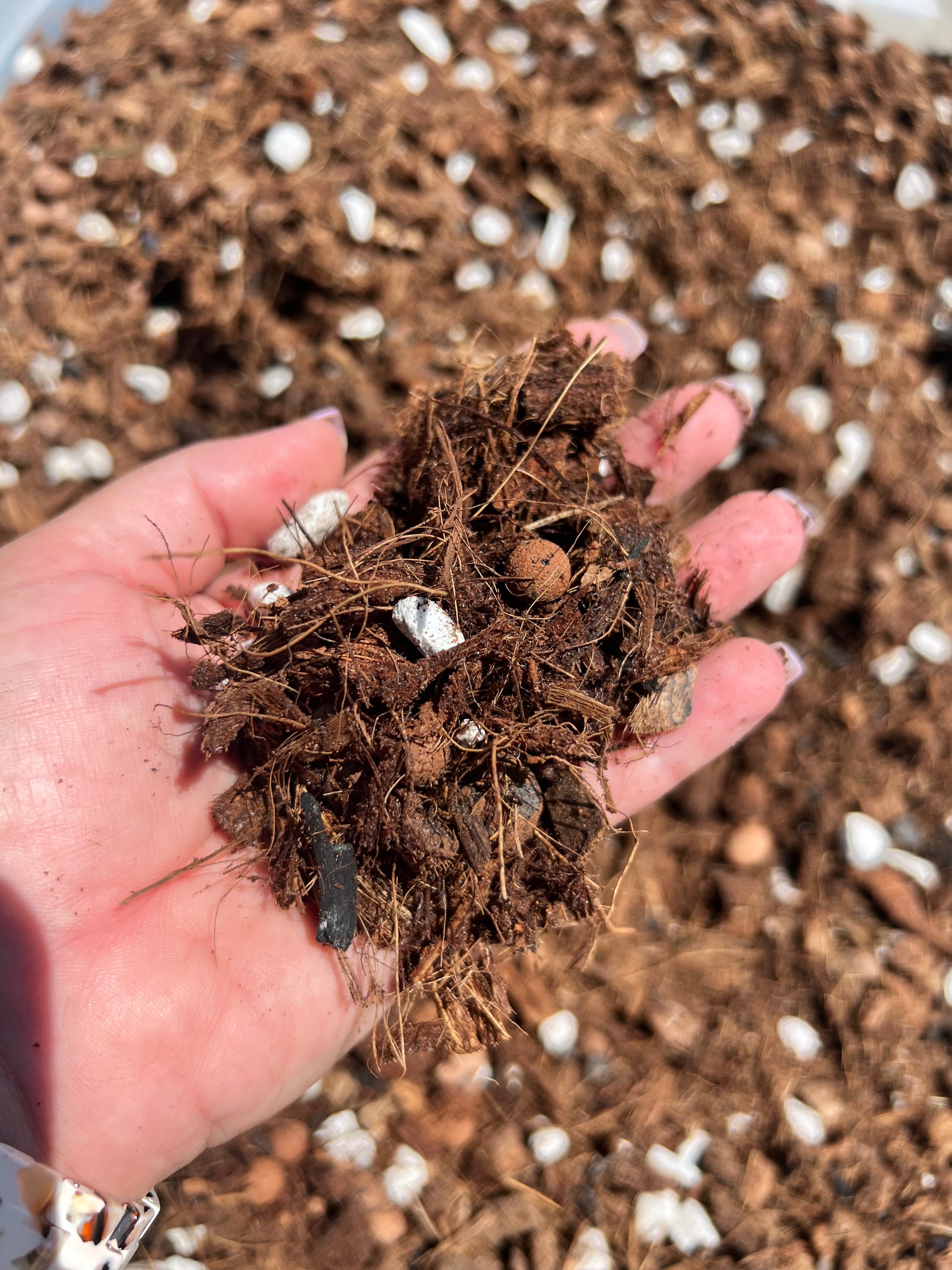 soil free potting mix Soil Free Potting Medium