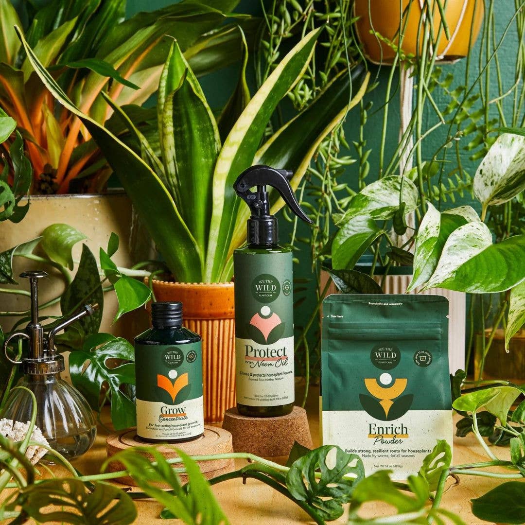 Holiday Plant Care Kit