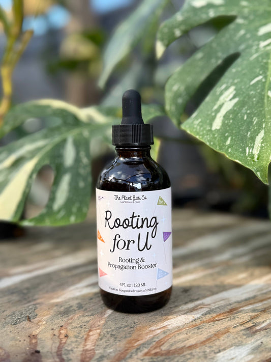 Rooting For U - Rooting & Propagation Booster 