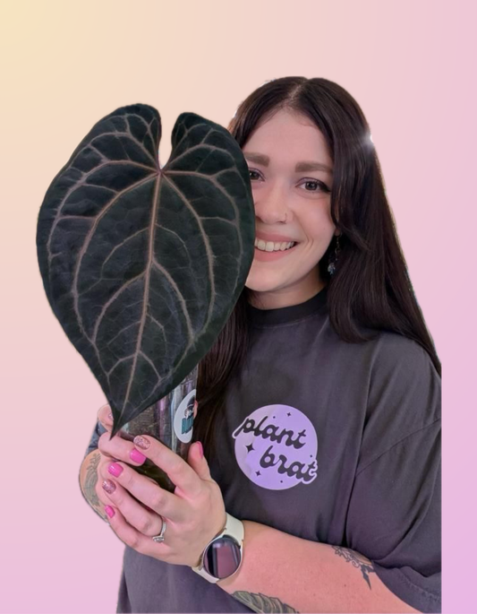 Plant Brat Tee