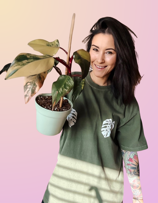 Hemp Green Monstera Twins