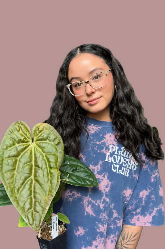 Bleach Dye “Plant Lovers Club”