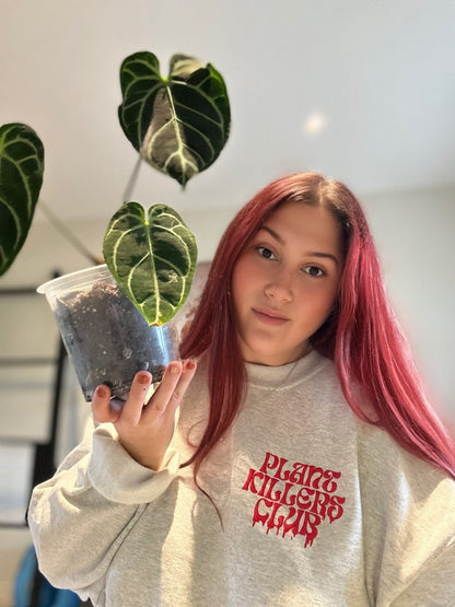 Grey Plant Killers Club Crewneck