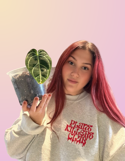 Puffy "Plant Killers Club" Grey Crewneck
