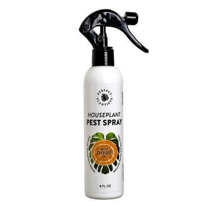 Natural & Non-Toxic Houseplant Pest Spray