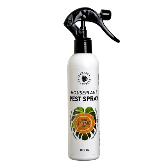 Natural & Non-Toxic Houseplant Pest Spray