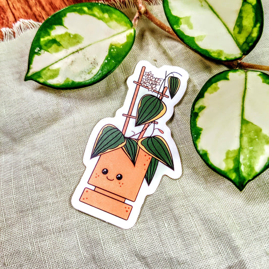 Hoya Macrophylla Vinyl Sticker