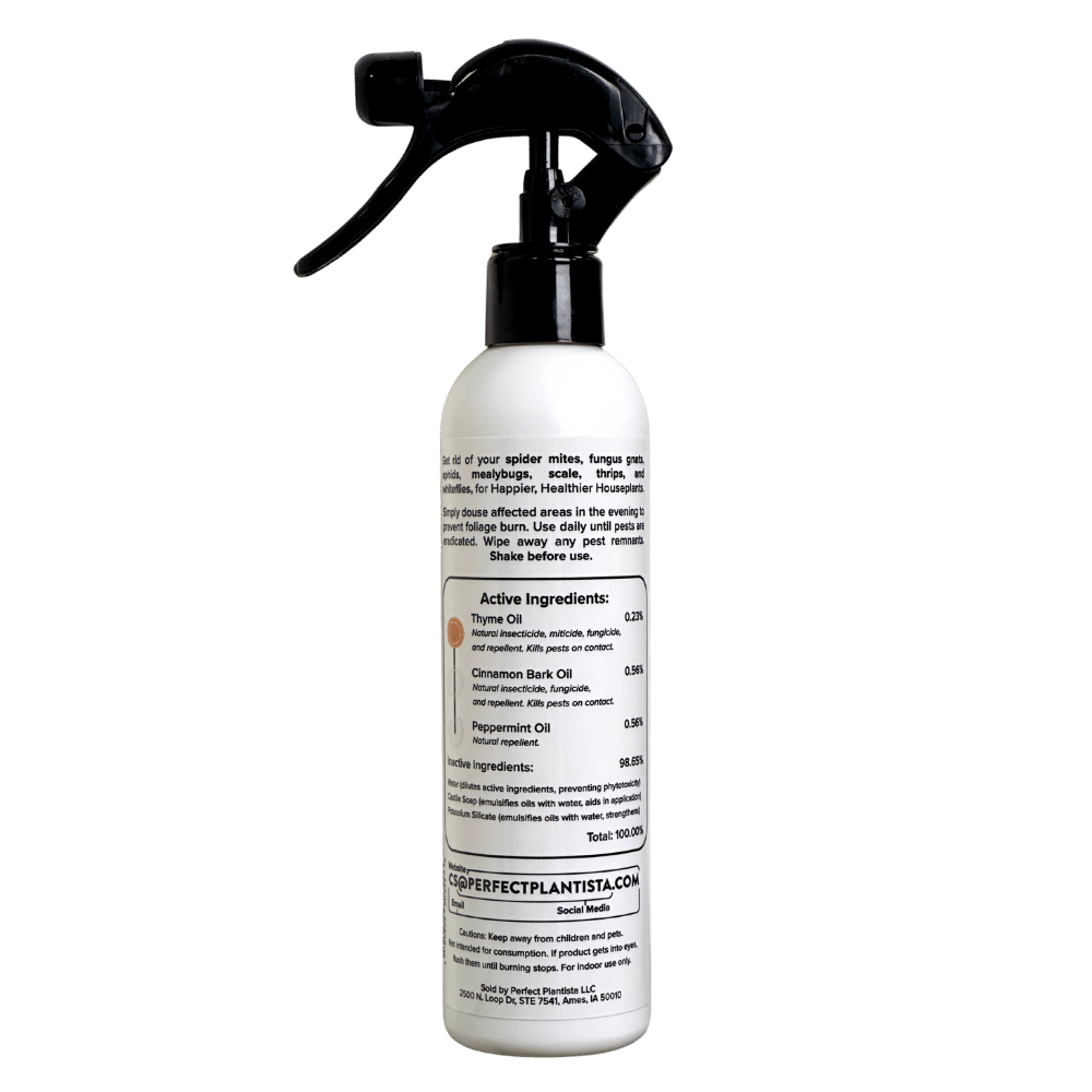 Natural & Non-Toxic Houseplant Pest Spray