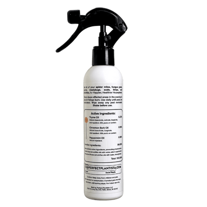 Natural & Non-Toxic Houseplant Pest Spray
